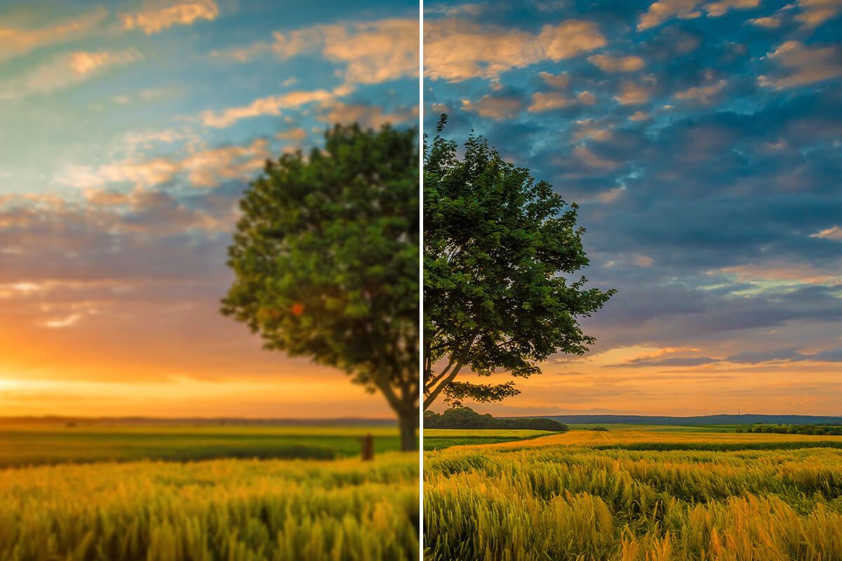 Landscapes