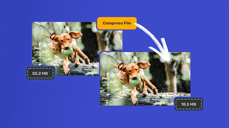 ソーシャルメディアのファイル制限を破る