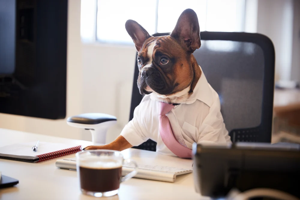 Funny Job Role Mashups