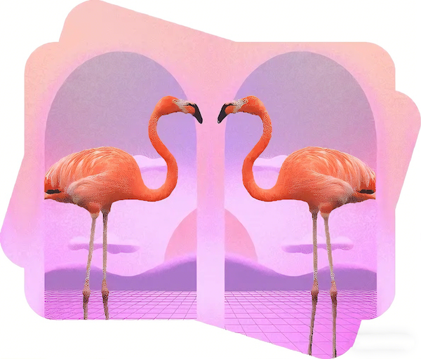 Mirror Images