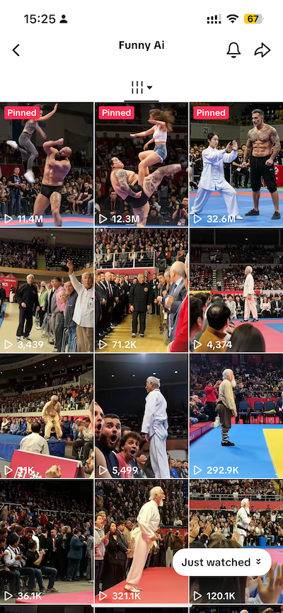 Chinese Kung Fu Battle AI Dance Arena
