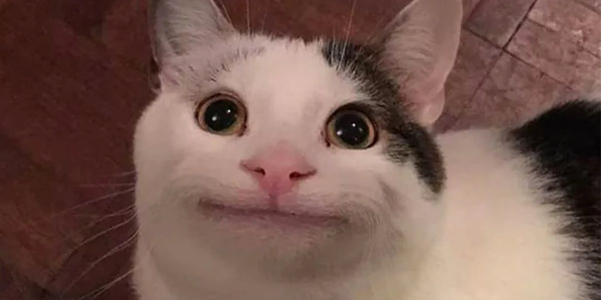 ソーシャルメディアマネージャー