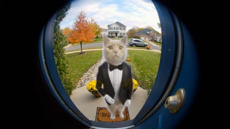 Playful Pranks and Visual Comedy