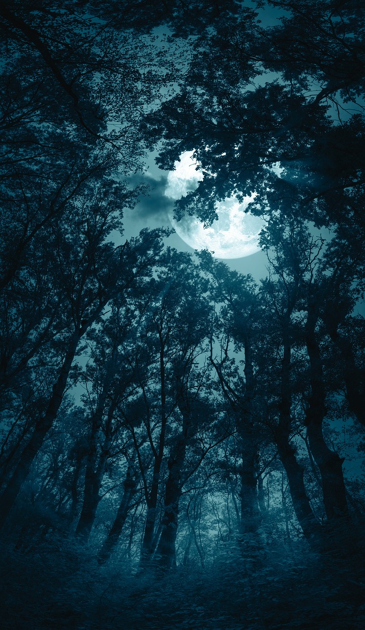 Personal Creative Archives