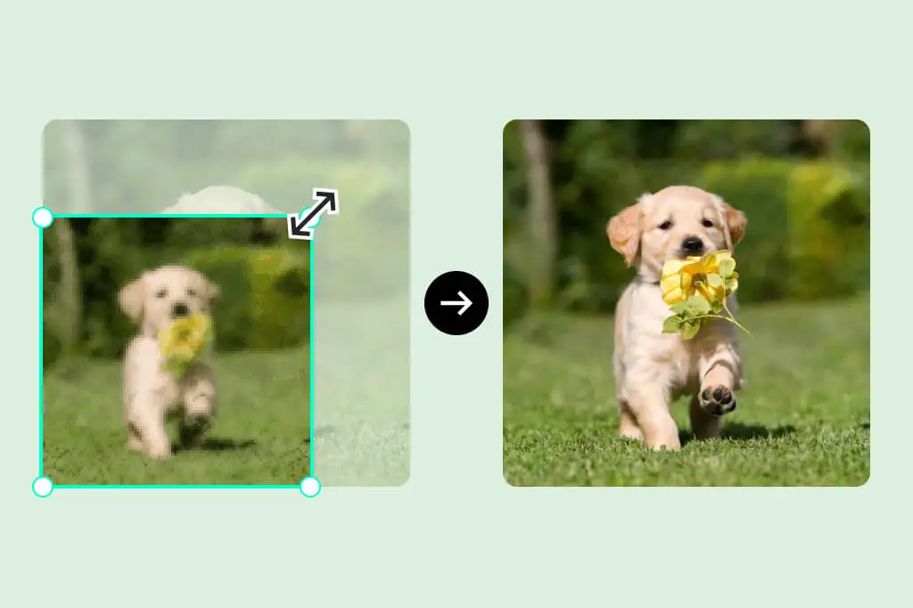 1. Screenshot Enhancement