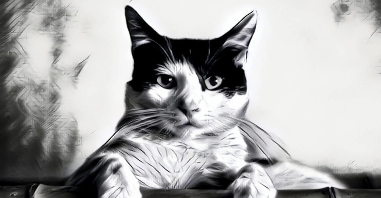 Personalized Gifts and Art