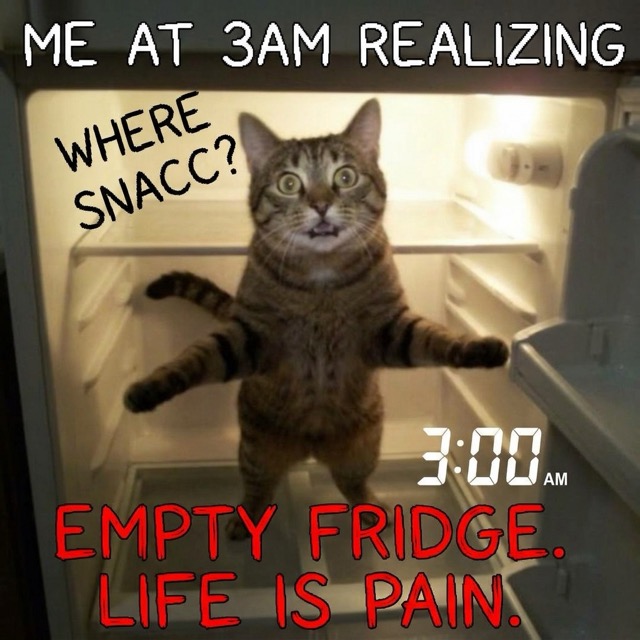 Stupid Meme