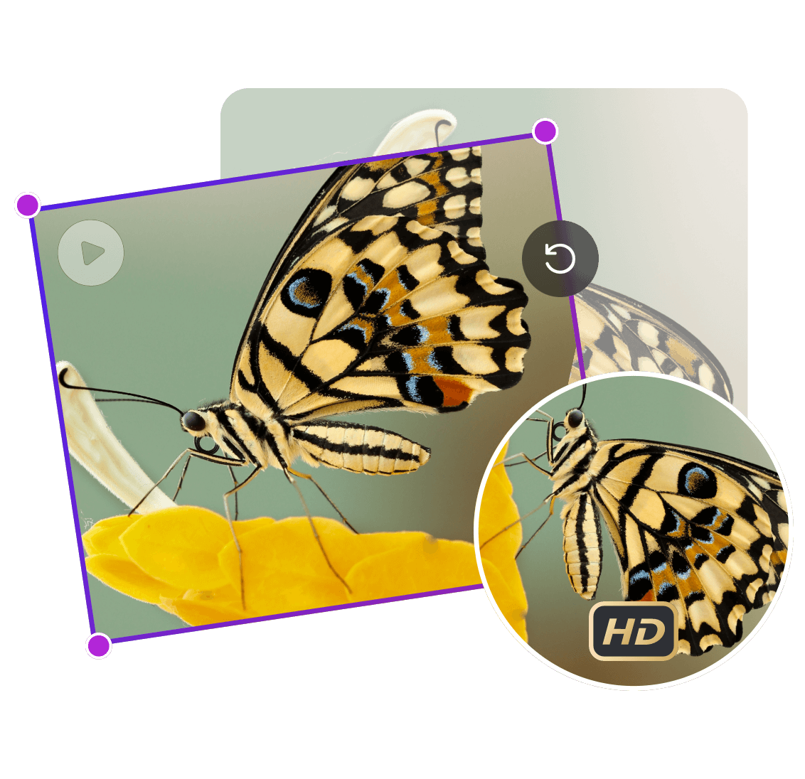 Multi-Angle Free Rotation